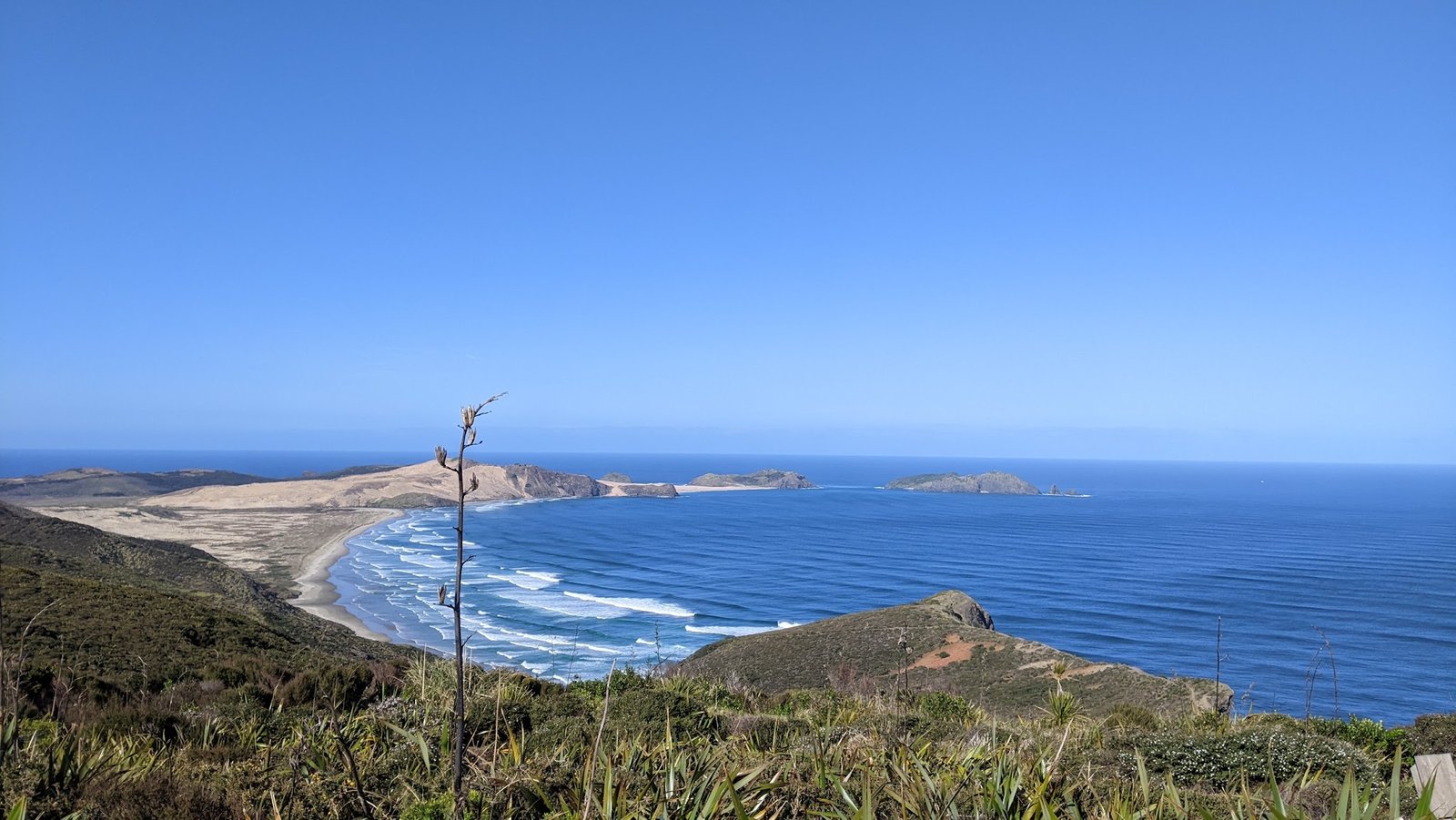 Cape Reinga coastal trail in Far North New Zealand