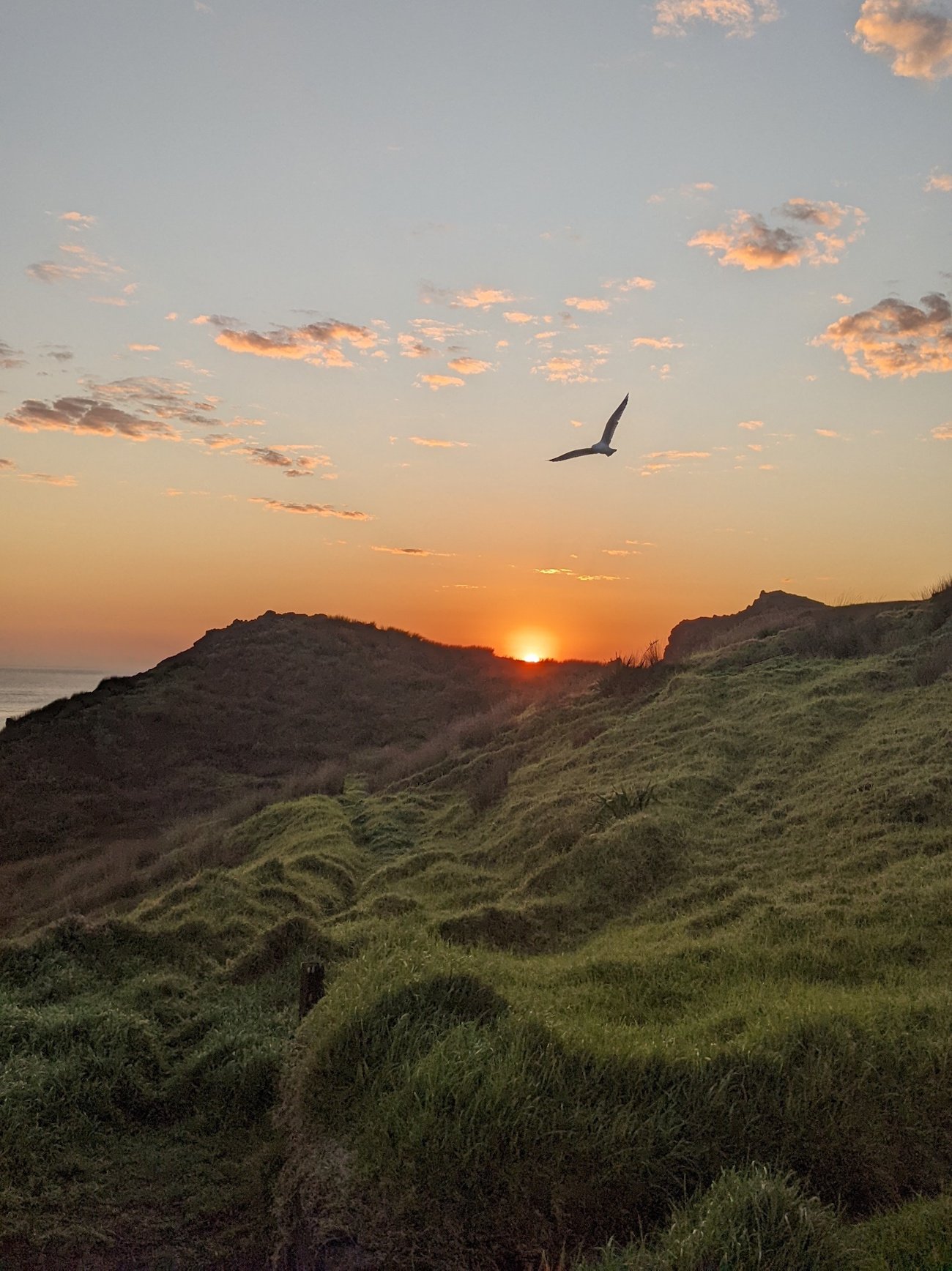 Sunrise view from Cape Brett Hut on New Zealand's Northland coast