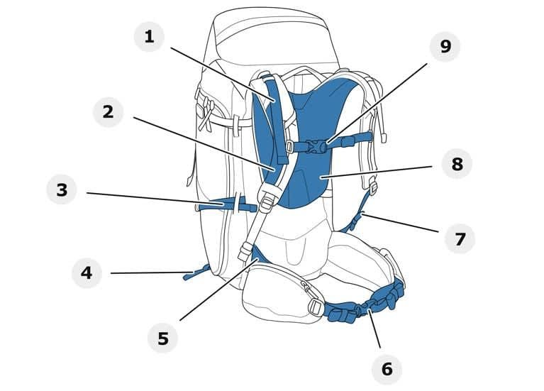Properly fitted hiking backpack showing correct torso length, hip belt positioning, and shoulder straps for Great Walks