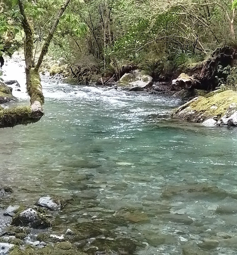 The Swimming Whole near Mintaro Hut