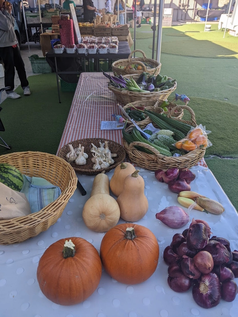 Trail food and snacks laid out for a multi-day hike