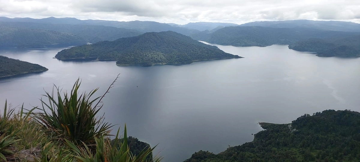 Shoreline section of the Lake Waikaremoana Track