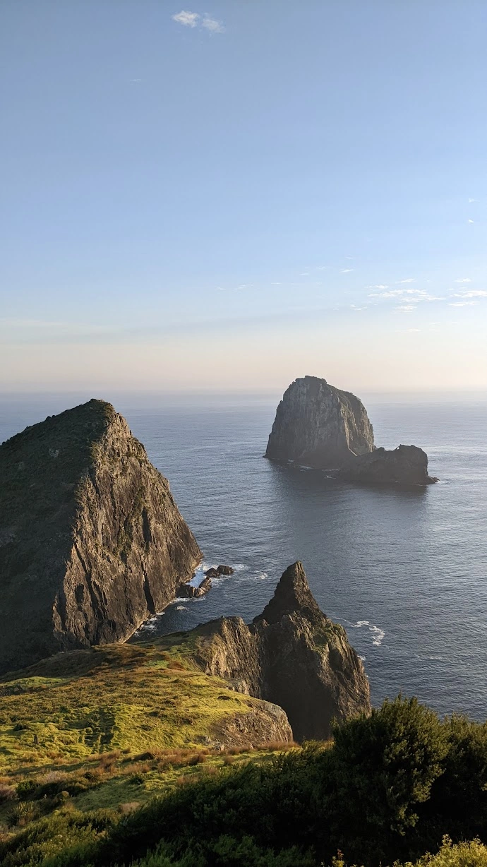 Scenic view on the Cape Brett Track, Northland New Zealand