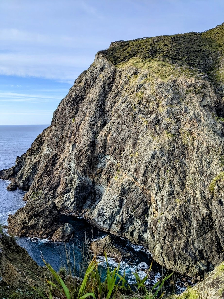 A hiker on the Cape Brett Track in Northland, New Zealand