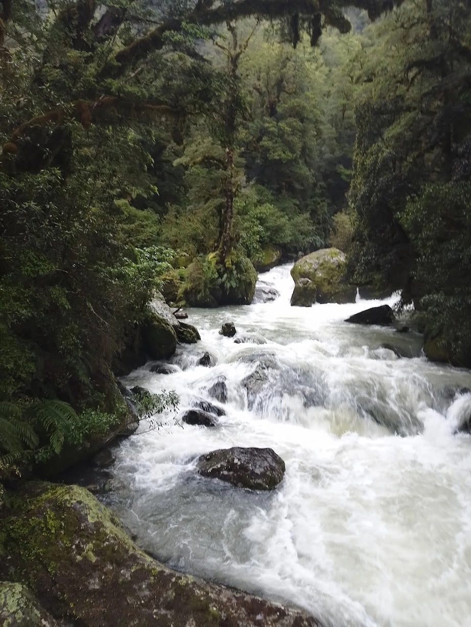Clinton River on the Milford Track — hiking in New Zealand