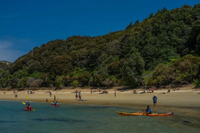 Scenic landscape of Abel Tasman Coast Track in New Zealand
