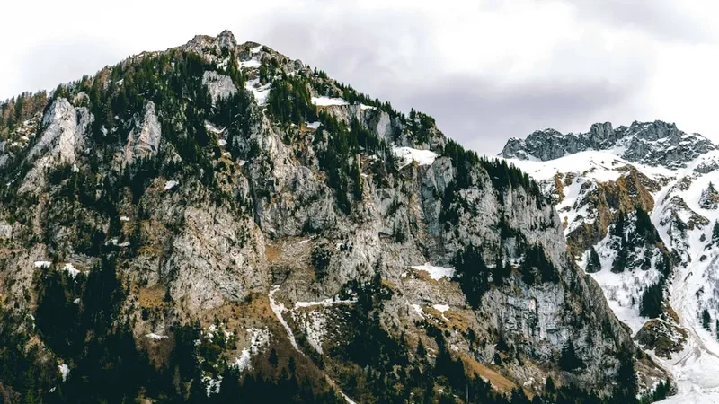 Rocky mountain covered in trees under cloudy sky