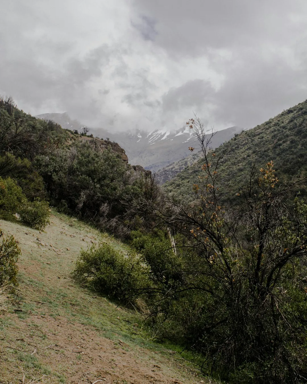 Altos de Lircay Trek Photo