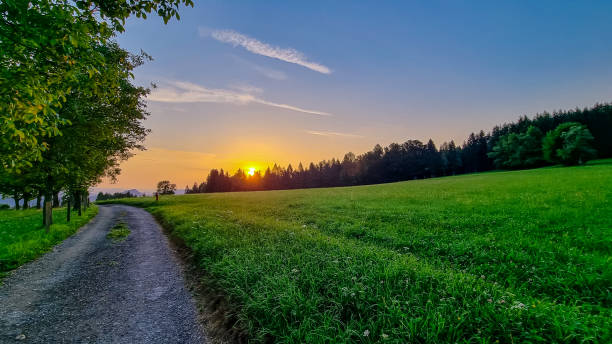 Batona Trail Photo