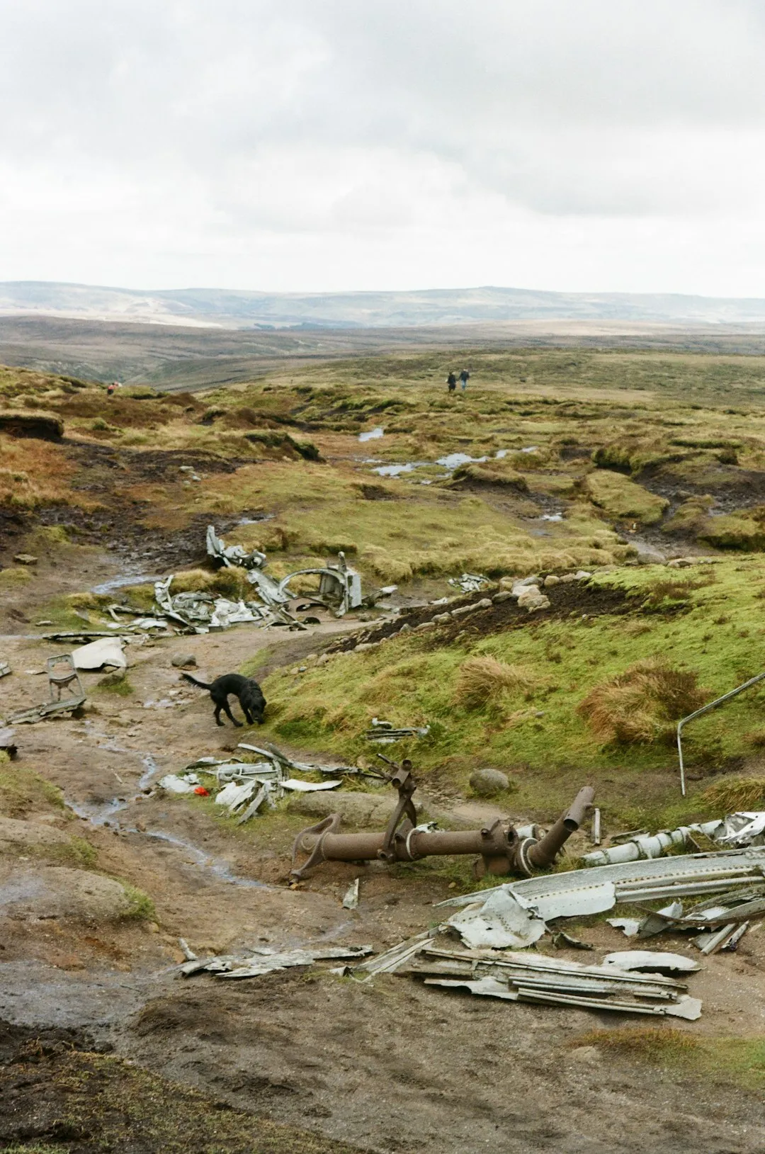 Cadair Idris via Minffordd Path Photo