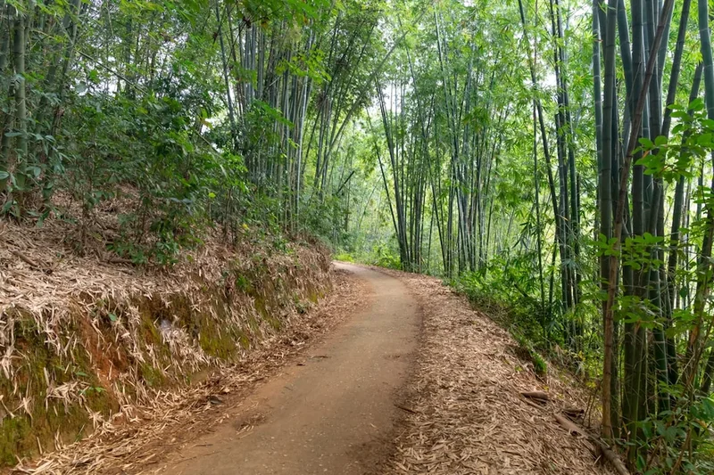 Scenic landscape of Camino de Santiago (Camino Francés) in Spain