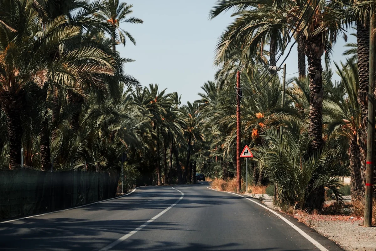 Camino Mozárabe Photo