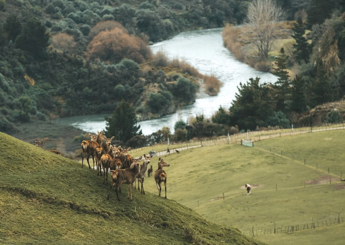 Cascade Saddle Route Photo