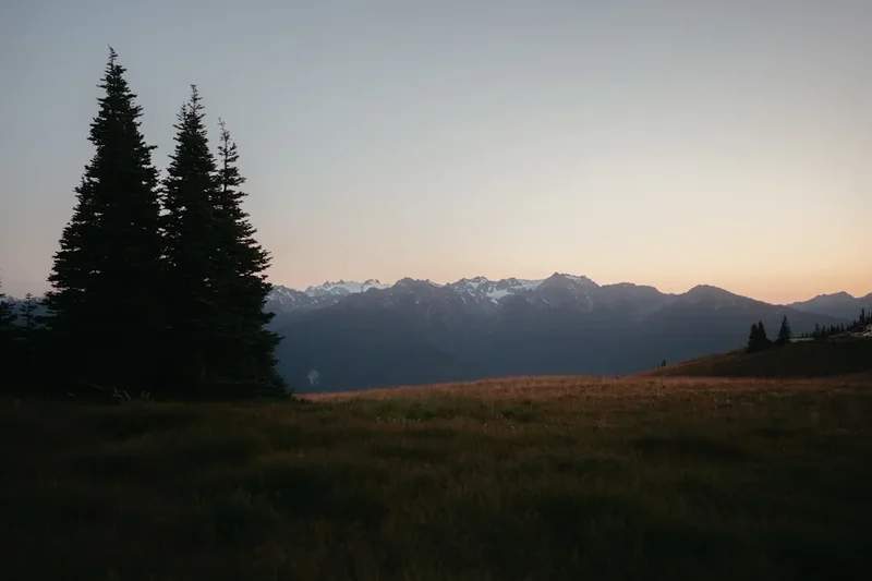 Mountain range at sunset with trees.