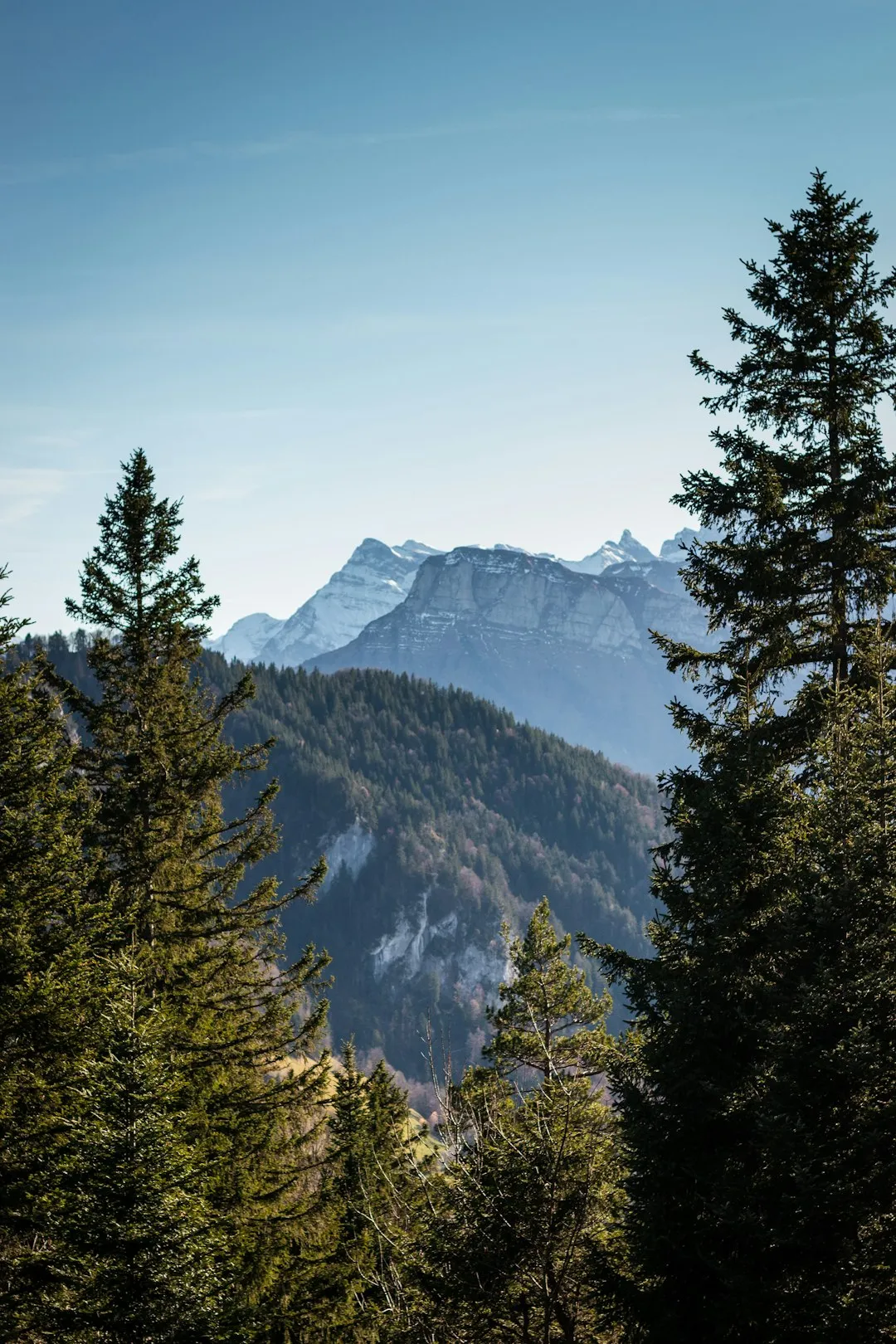 Chamanna Cluozza Trail Photo