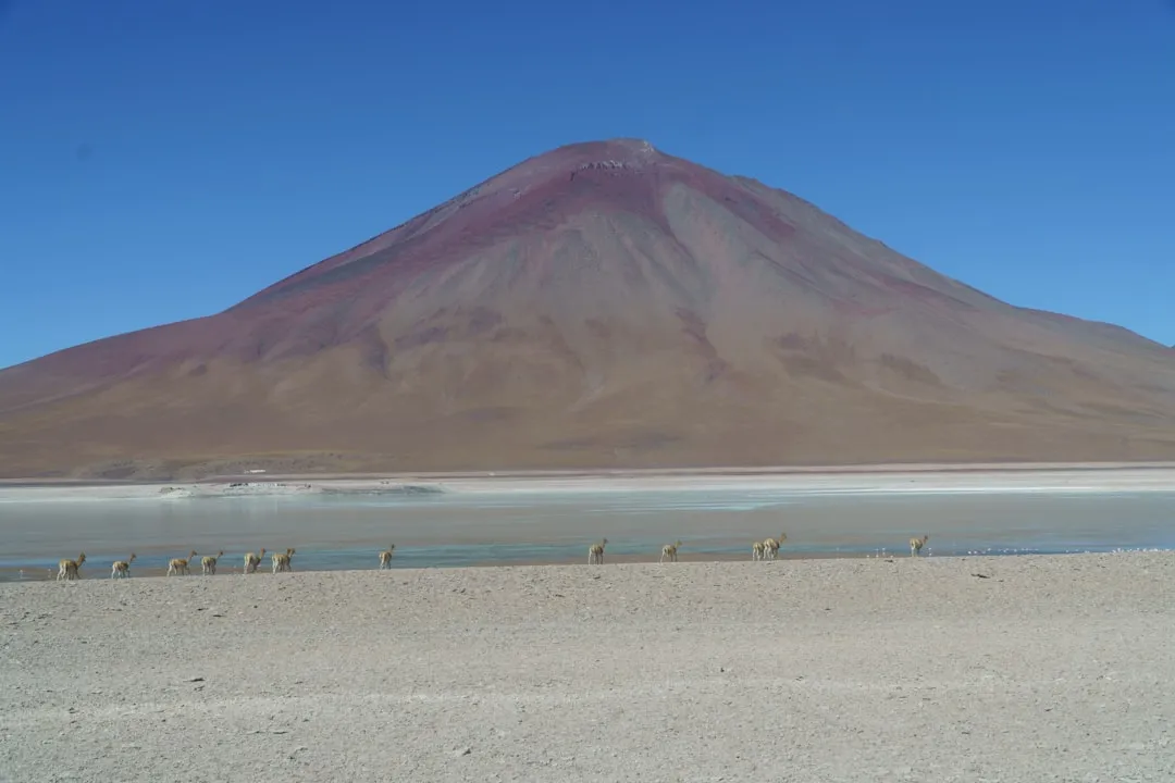 Cordillera Real Traverse Photo