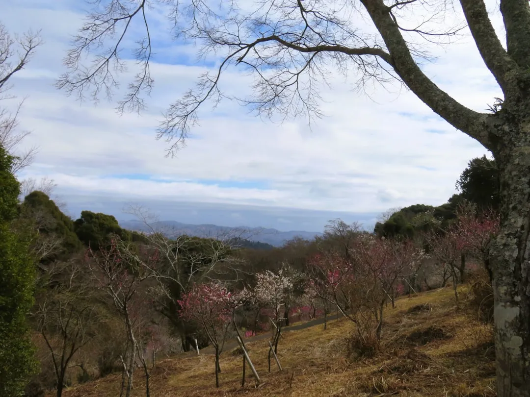 Daibutsu Hiking Course Photo