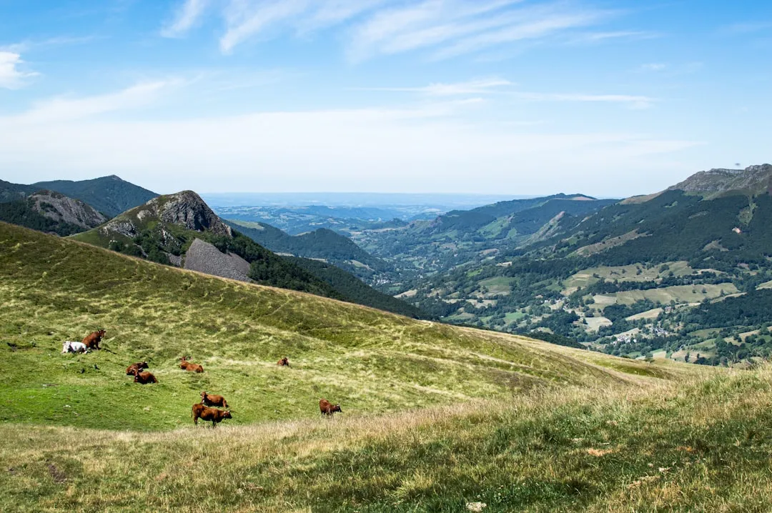 Dentelles de Montmirail Loop Photo