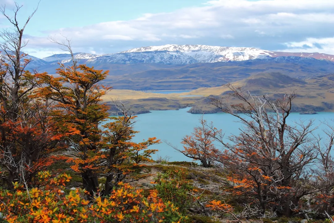 El Morado Glacier Trail Photo