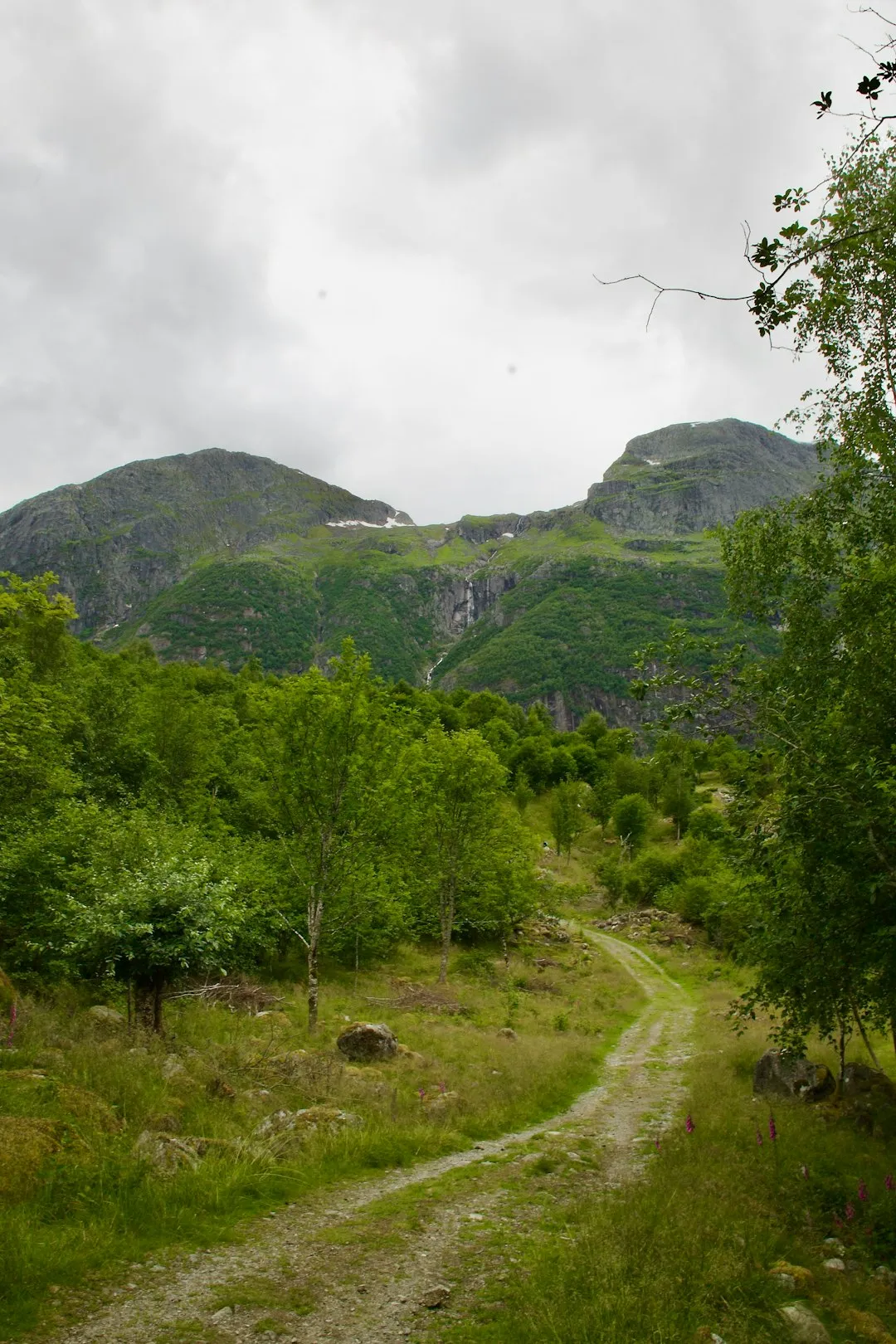Fjallbacka Archipelago Trail Photo