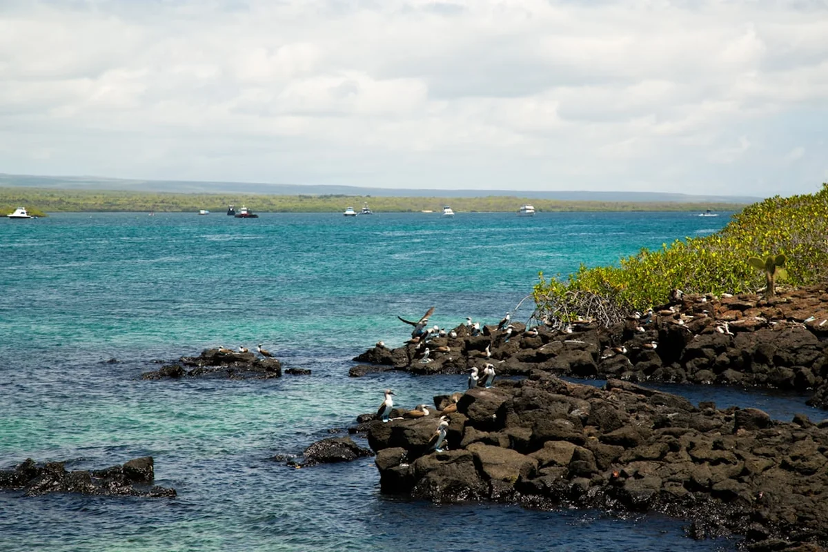 Galapagos Coastal Trek Photo