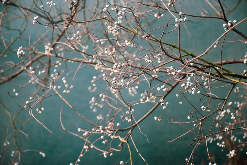Scenic landscape of Ganden to Samye Trek in China
