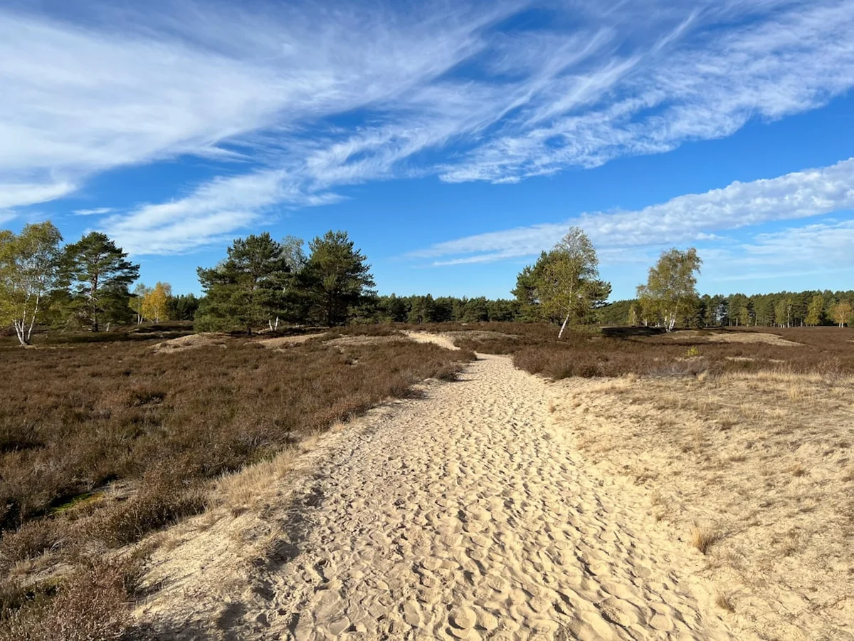 The High Coast Trail (Hoga Kustenleden) Photo