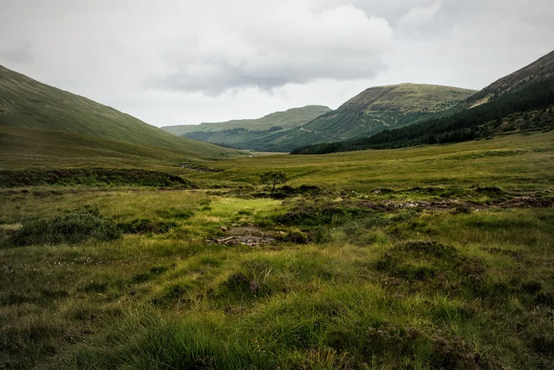Highland Boundary Fault Trail Photo