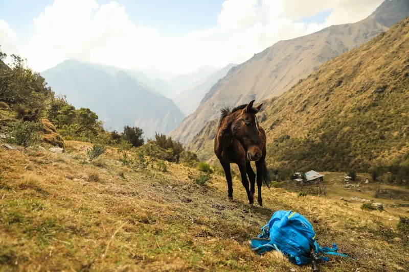 Scenic landscape of Inca Trail to Sun Gate in Peru