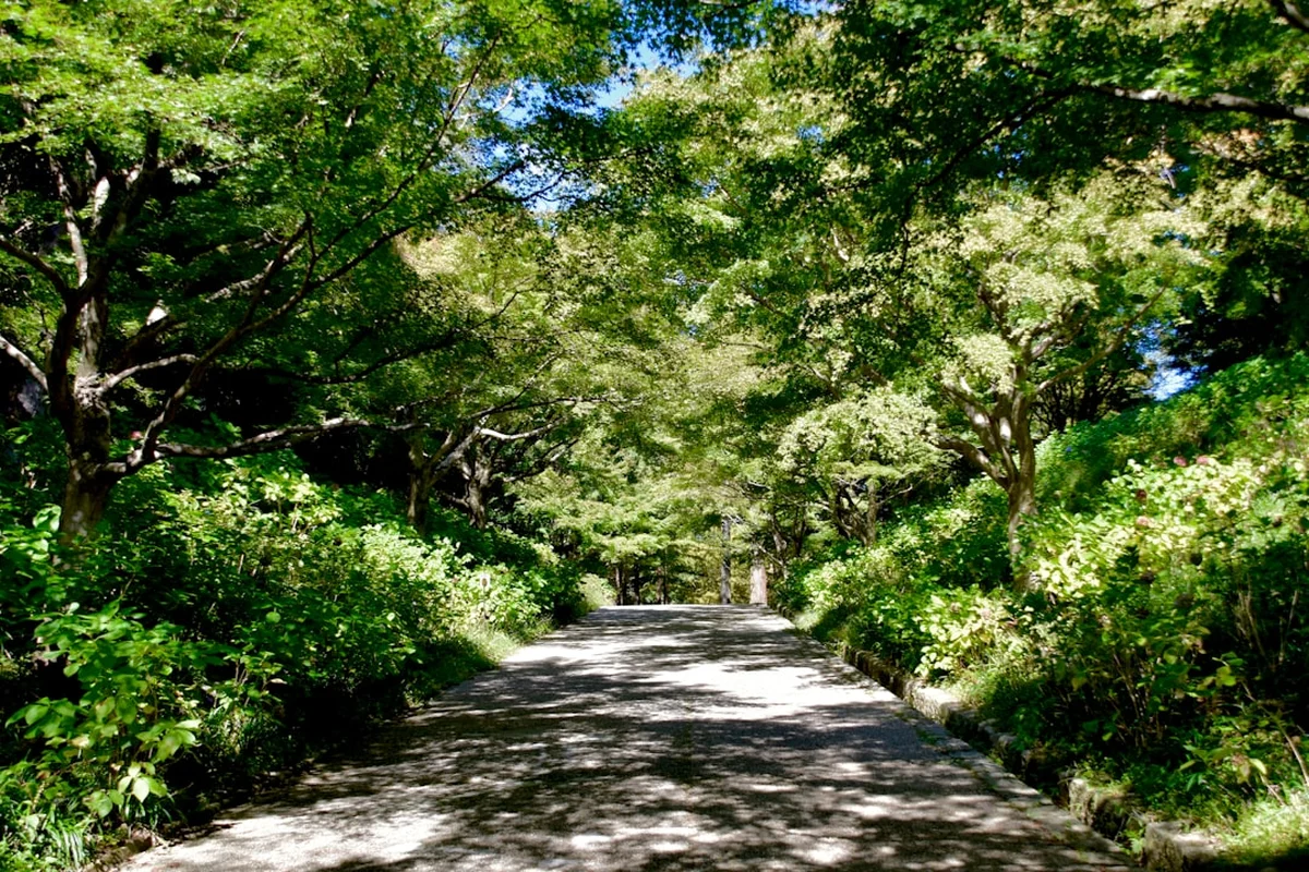 Janda Natural Park Coast Hike Photo