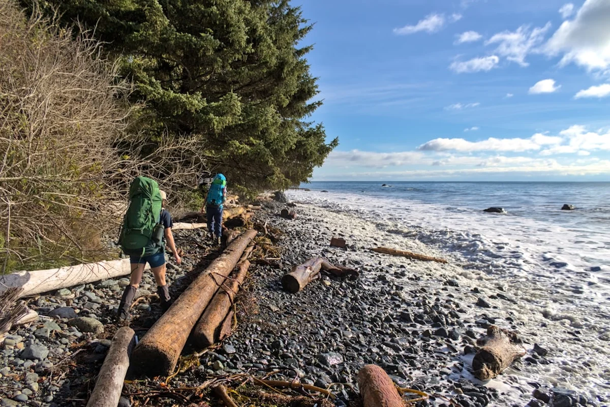 Juan de Fuca Trail Photo
