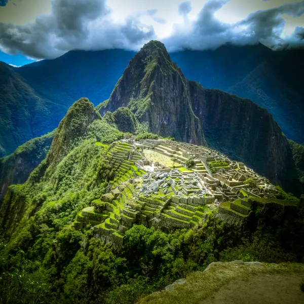 Jungle Trek to Machu Picchu Photo