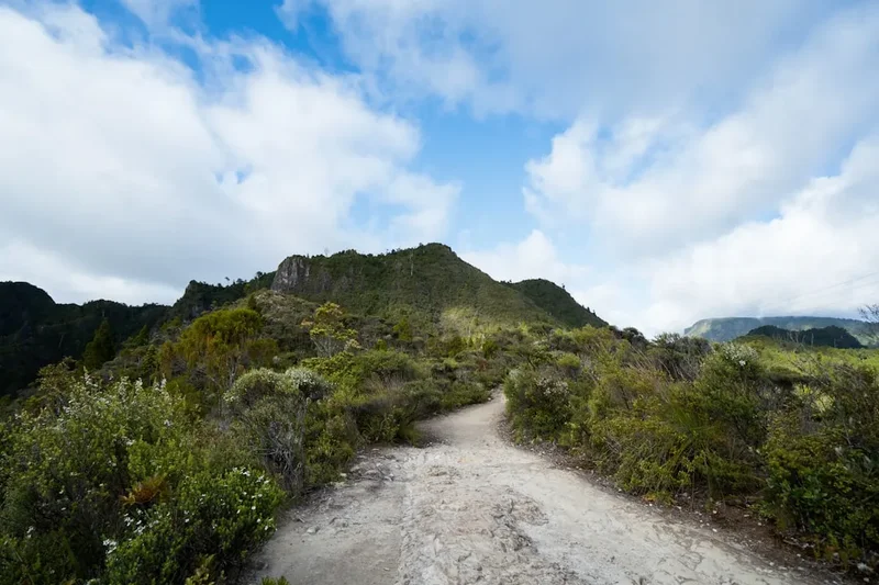 Dirt path leading through lush green mountains under blue sky
