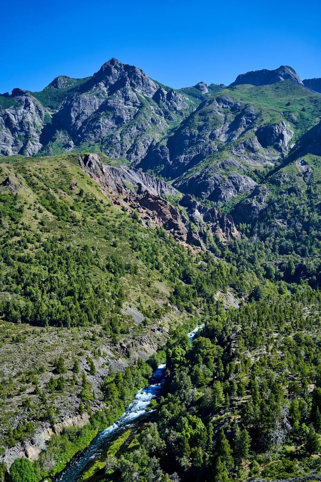 Laguna San Rafael Trail Photo