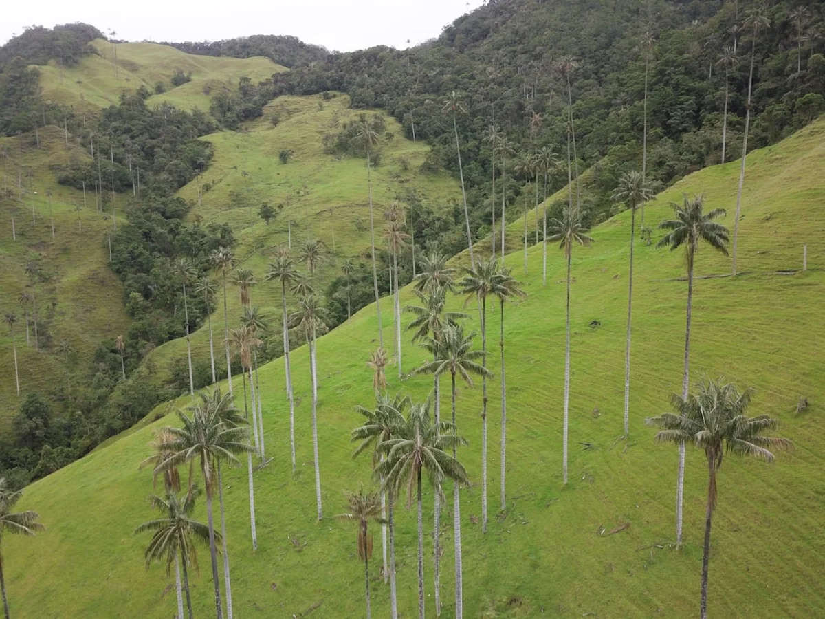 Lost City Trek (Ciudad Perdida) Photo