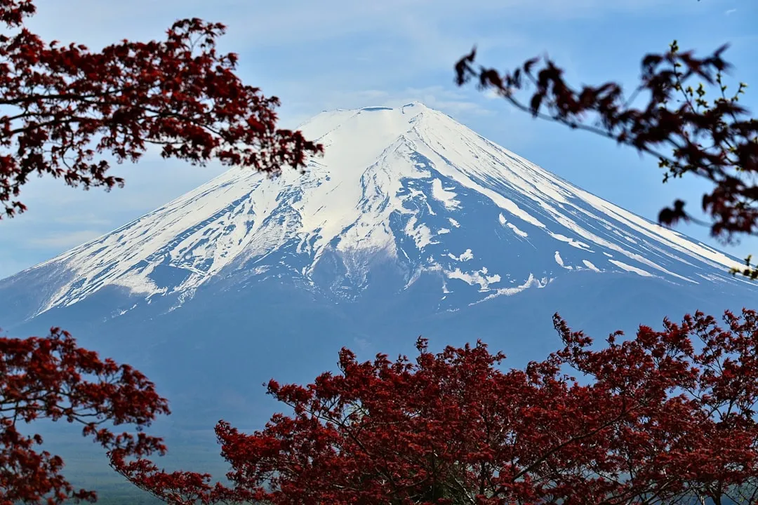 Meiji no Mori Trail Photo