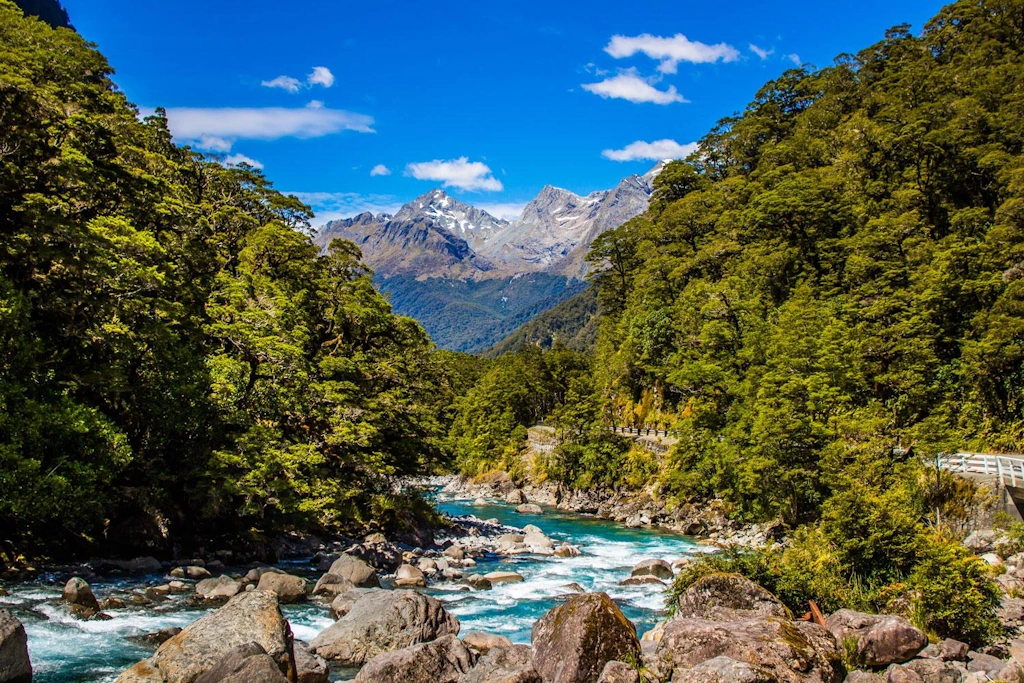 Milford Track Photo