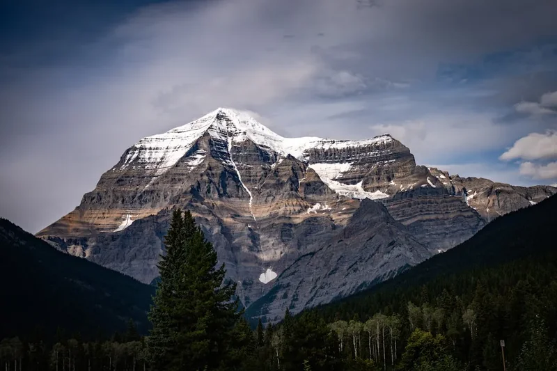 Snow-capped mountain peak surrounded by dark forest.
