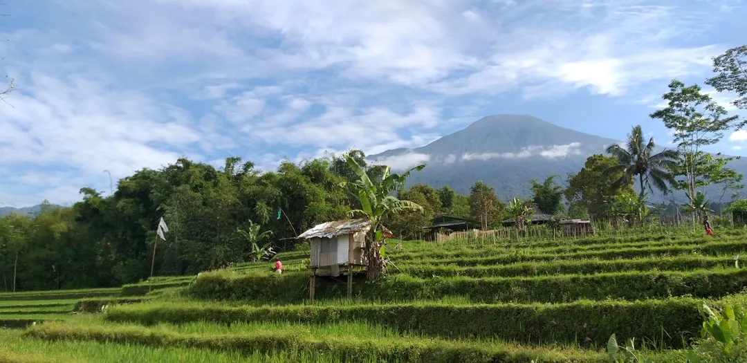 Mount Bromo Trek Photo