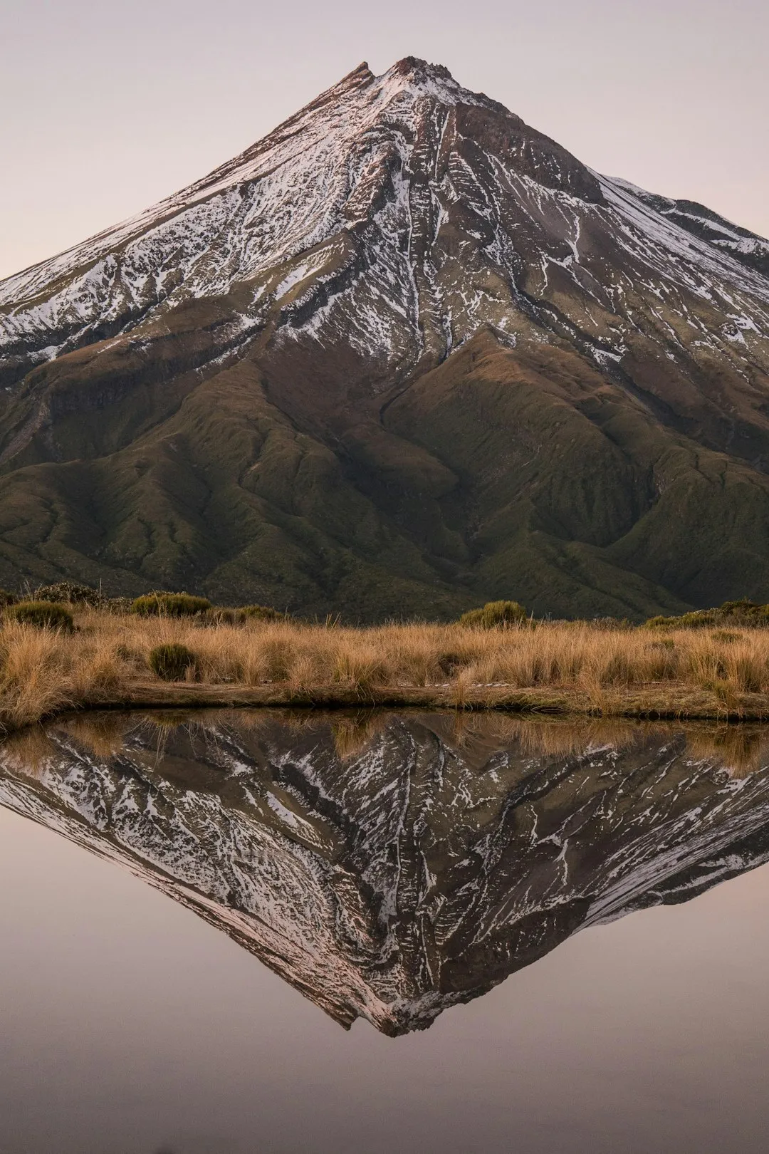 Mt. Karioi Track Photo
