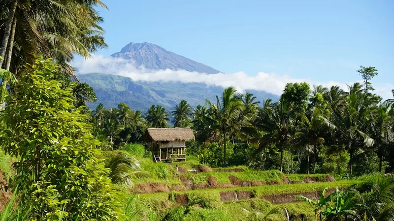 Scenic landscape of Mount Rinjani Trek in Indonesia