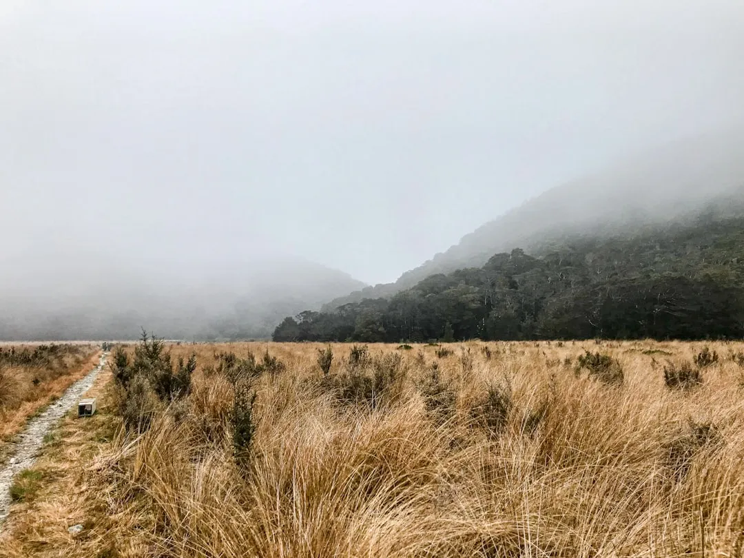 Mount Somers Track Photo