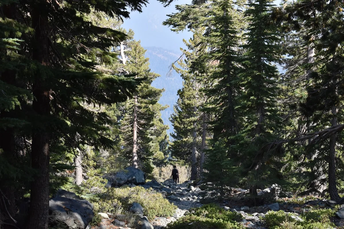 Mount Tallac Trail Photo