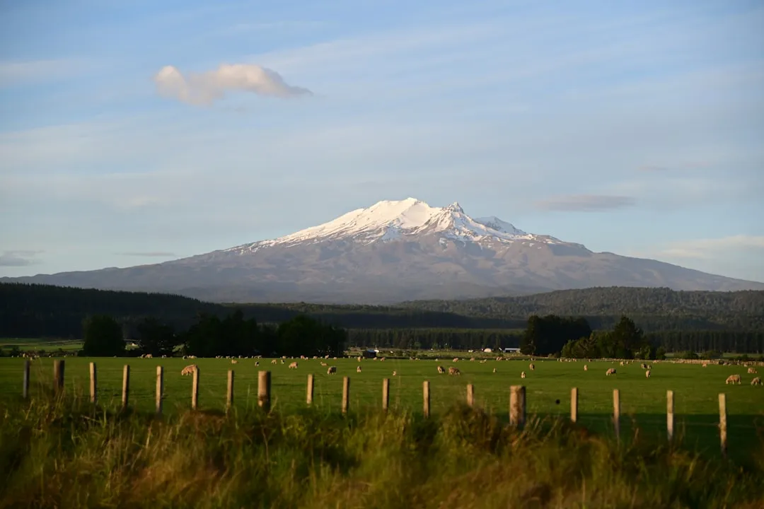 Mount Taranaki Summit Route Photo