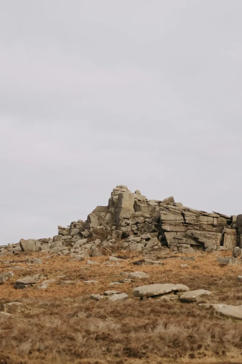 Rocky outcrop on a dry, grassy hillside