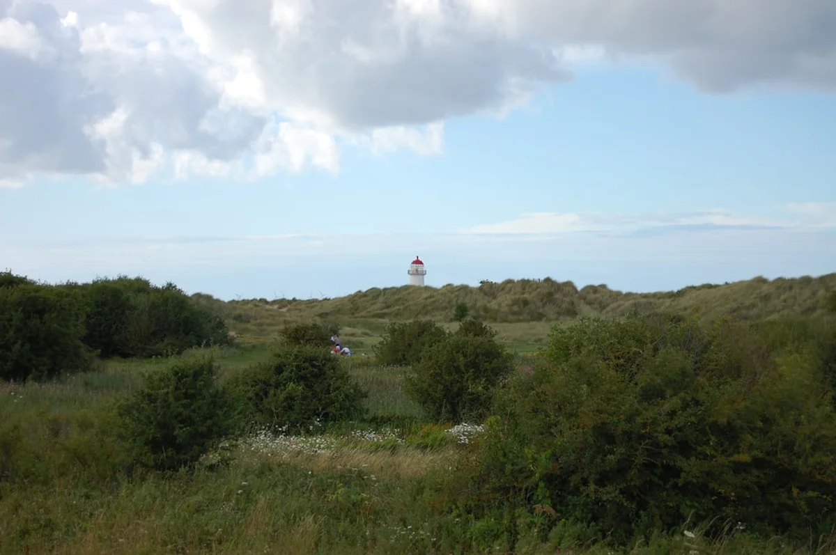Northumberland Coast Path Photo