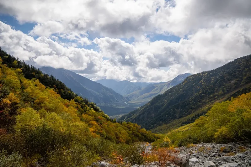 Autumn valley with colorful trees and mountains