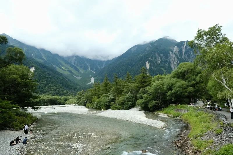 a river running through a lush green forest