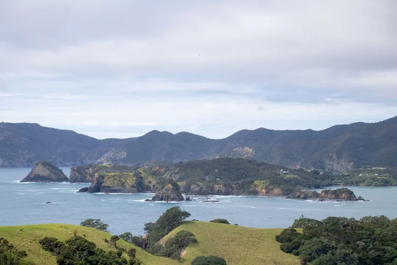 Scenic landscape of Paparoa Track in New Zealand