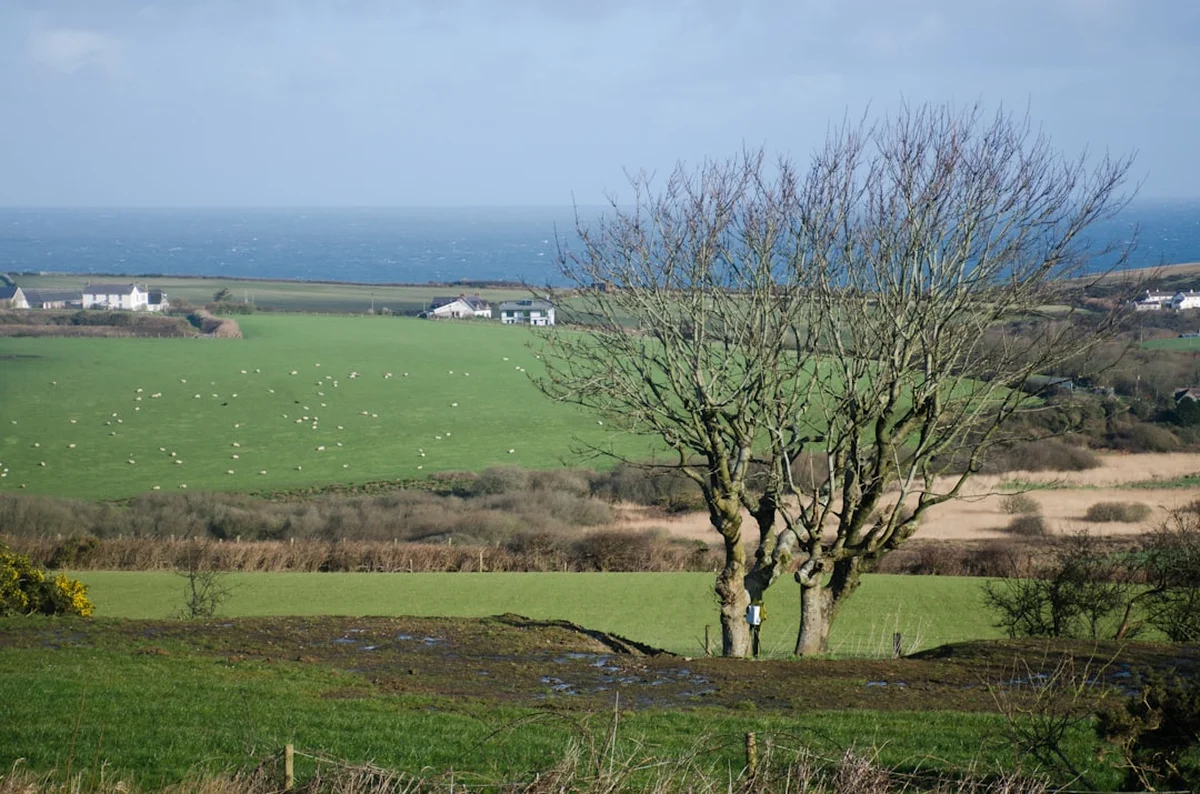 Pembrokeshire Coast Path Photo